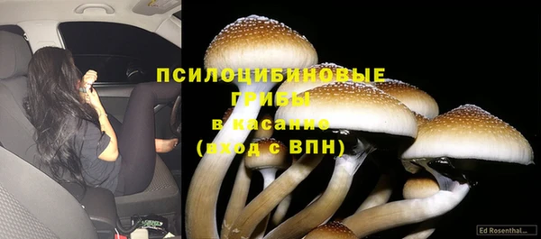 мяу мяу кристалл Майский