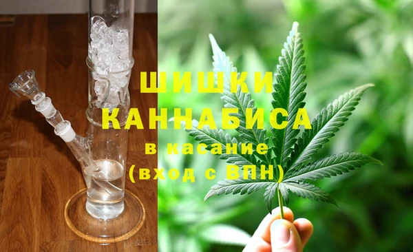 PSILOCYBIN Магас