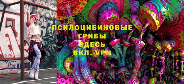 PSILOCYBIN Магас