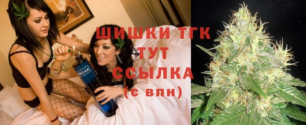 PSILOCYBIN Магас
