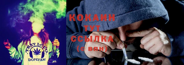 PSILOCYBIN Магас